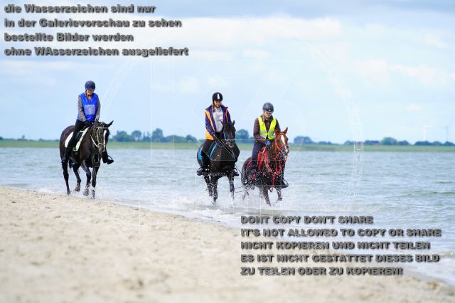 s_K3F05085.JPG